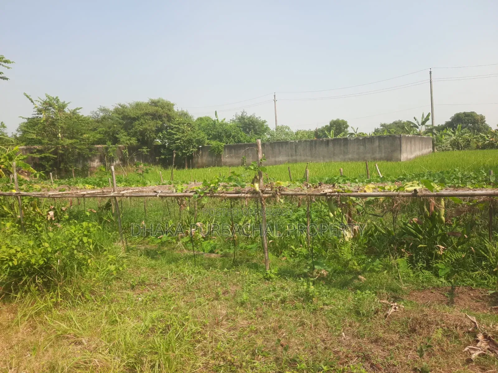 Sector-18, Road-307, South Facing Plot For Sale in Purbachal