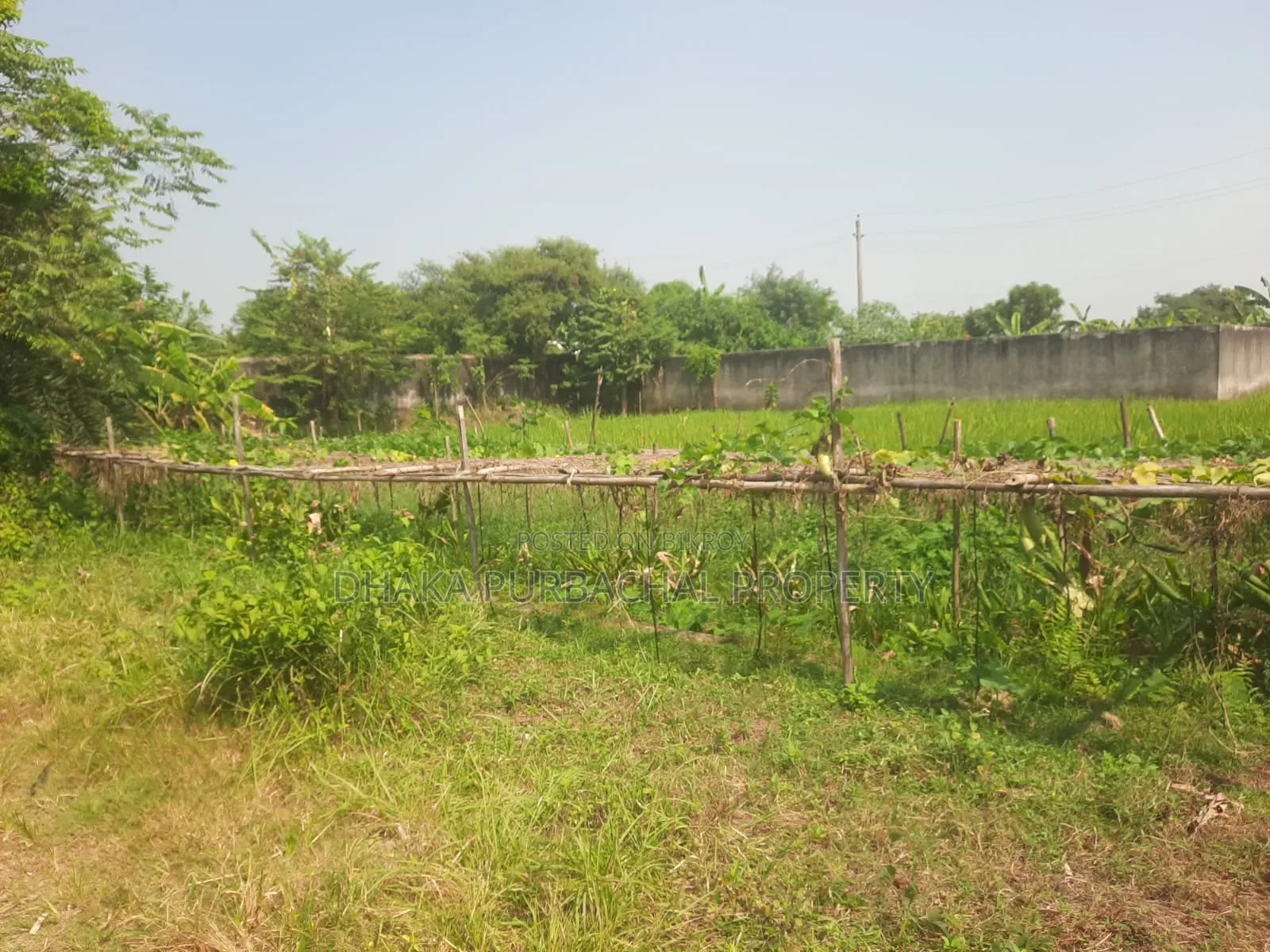 Sector-18, Road-307, South Facing Plot For Sale in Purbachal