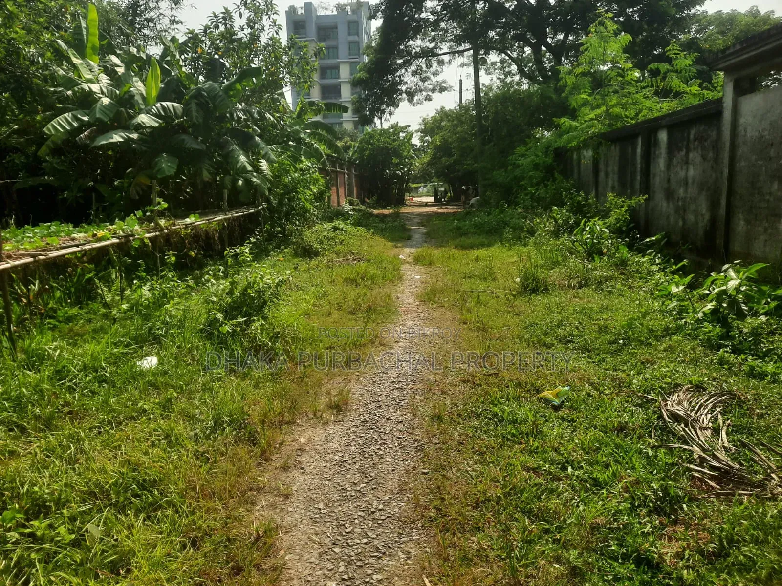 Rajuk Purbachal Forests Zone 5 Katha Corner Plot in Purbachal