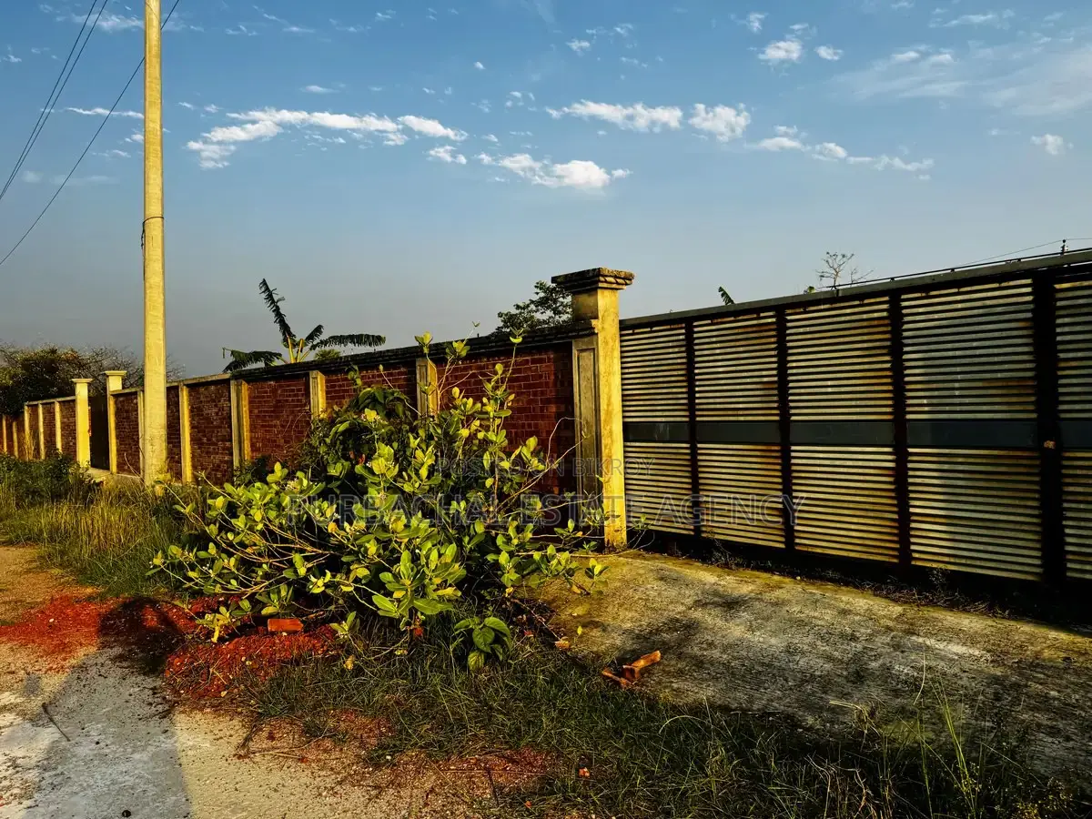 Budget-Friendly 3 Katha Plot, RAJUK Purbachal Sector 29 in Purbachal