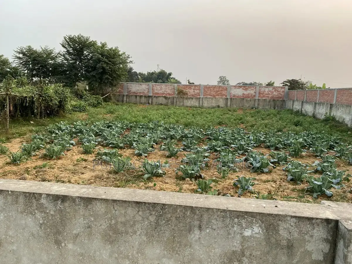10 Katha Plot Near Lake & Park, Purbachal Sector 24 in Purbachal