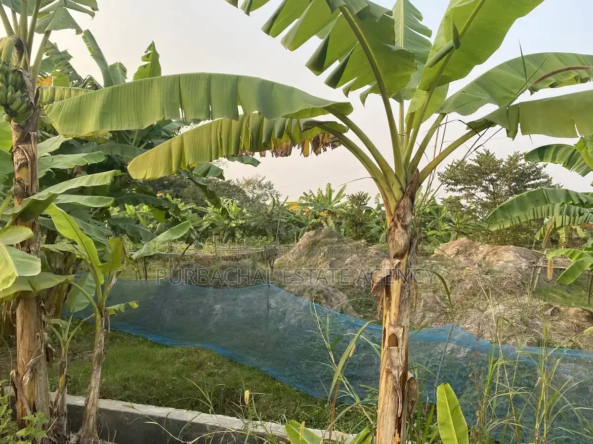 10 Katha Plot Near Lake & Park, Purbachal Sector 24 in Purbachal