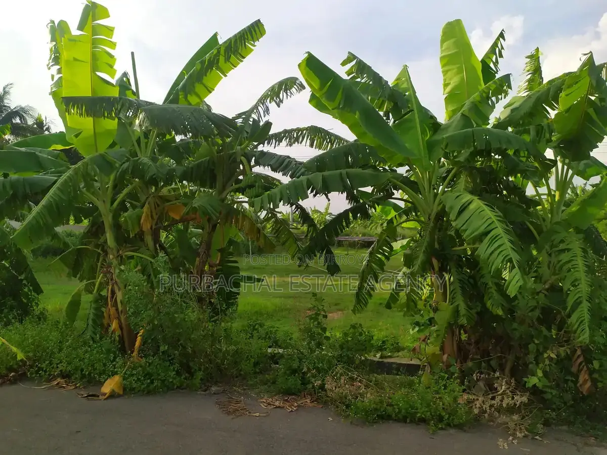 3 Katha Plot Near 150 Ft Road, Purbachal Sector 28 in Purbachal