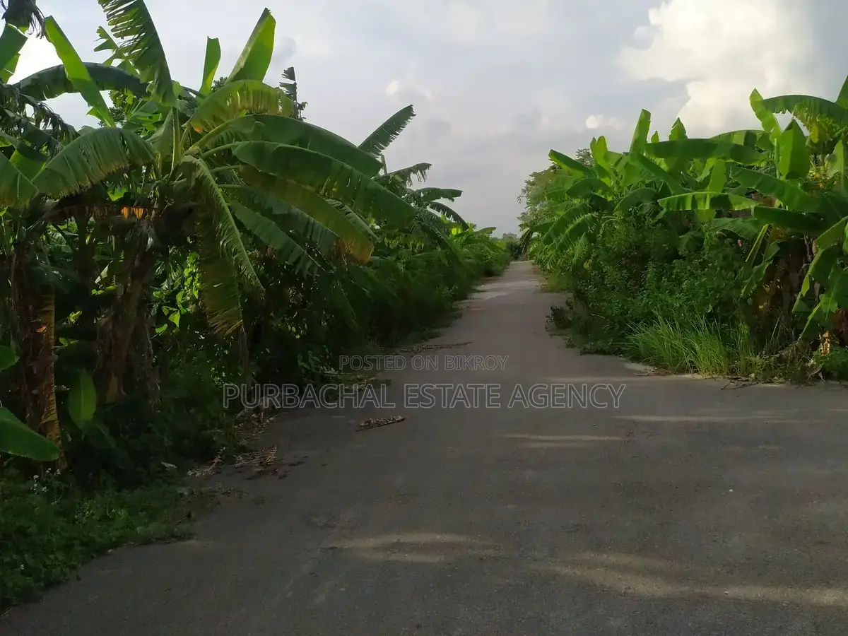 RAJUK Purbachal Sector 28: Corner 3 Katha Plot Near 100 Ft Road in Purbachal