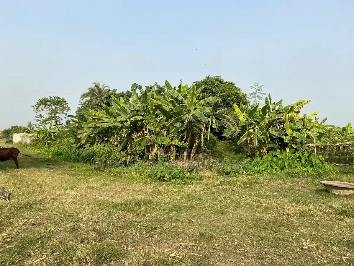 On 75 Ft Road: 10 Katha Plot, Purbachal Sector 7 in Purbachal