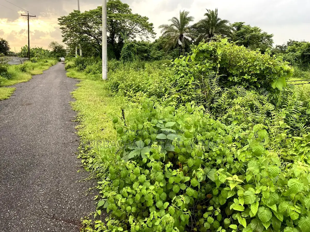 3 Katha South-Facing Plot Near 100 Ft Road, Purbachal Sector 8 in Purbachal