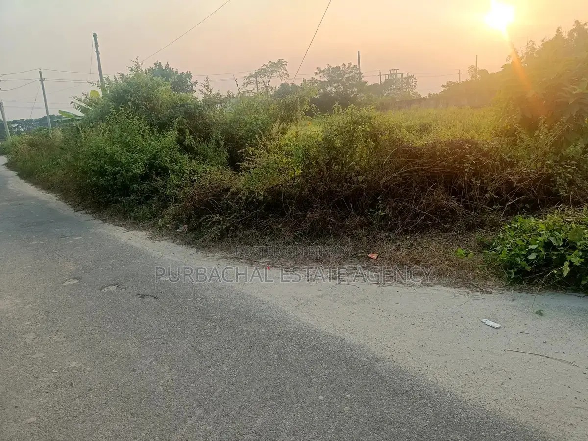 Two Adjacent Plots, 10 Katha Total on 75 Ft Road, Purbachal Sec 15 in Purbachal