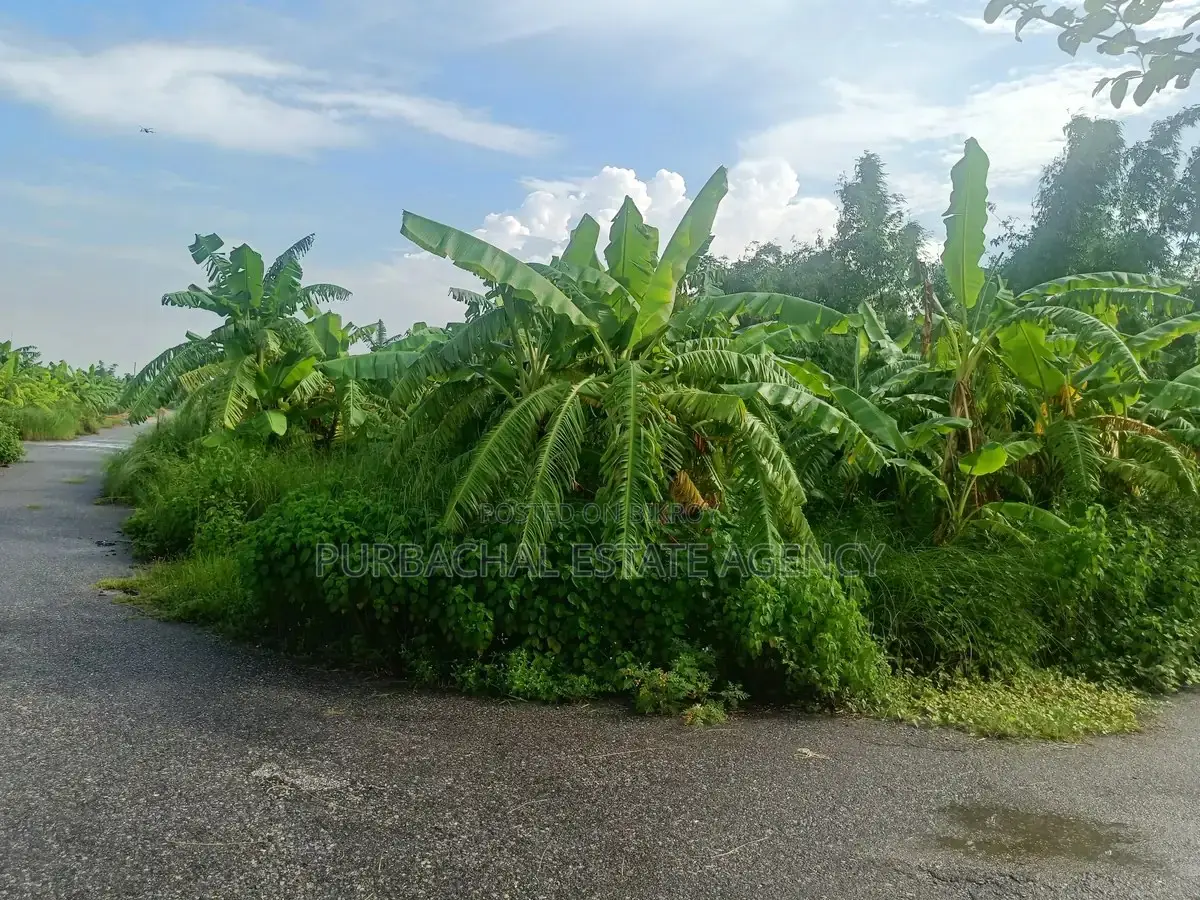 5 Katha Plot Near 75 Ft Road, RAJUK Purbachal Sector 15 in Purbachal