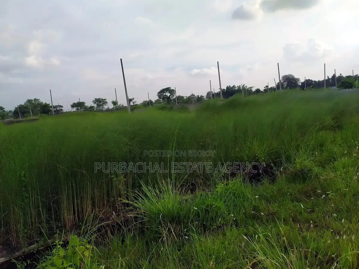 RAJUK Purbachal Sector 25: Corner 5 Katha Plot Beside Playground in Purbachal