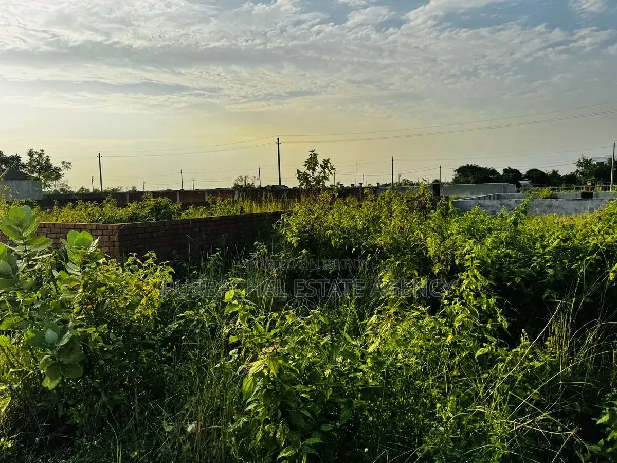RAJUK Purbachal Sector 20: 3 Katha Plot Near Lake & 100 Ft Road in Purbachal