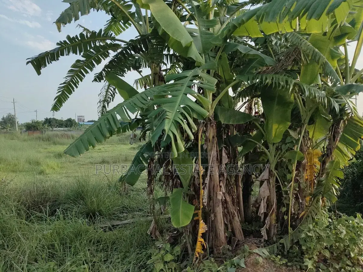 5 Katha Plot Near Playground & 75 Ft Road - Purbachal Sec 25 in Purbachal