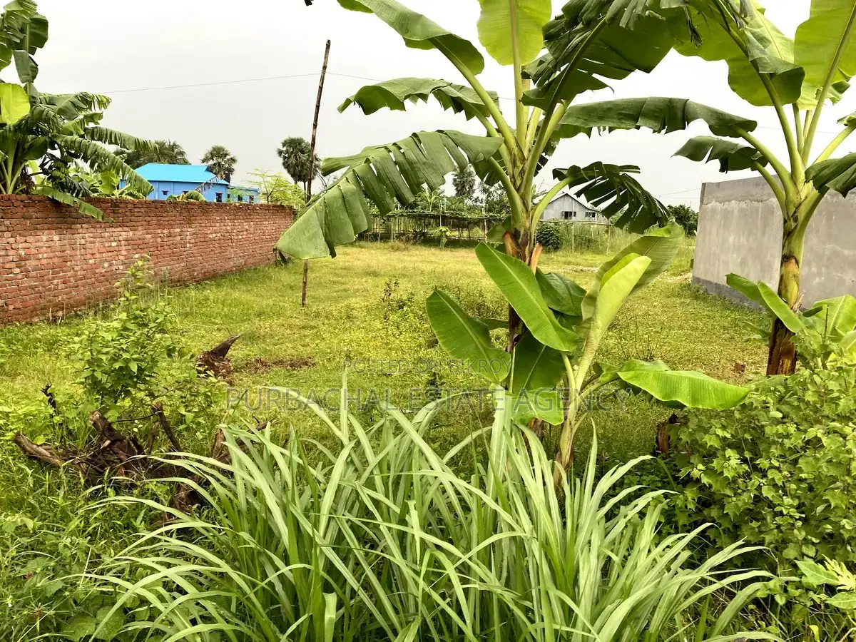3 Katha North-Facing Land in Sector 27, Purbachal - Papers OK in Purbachal