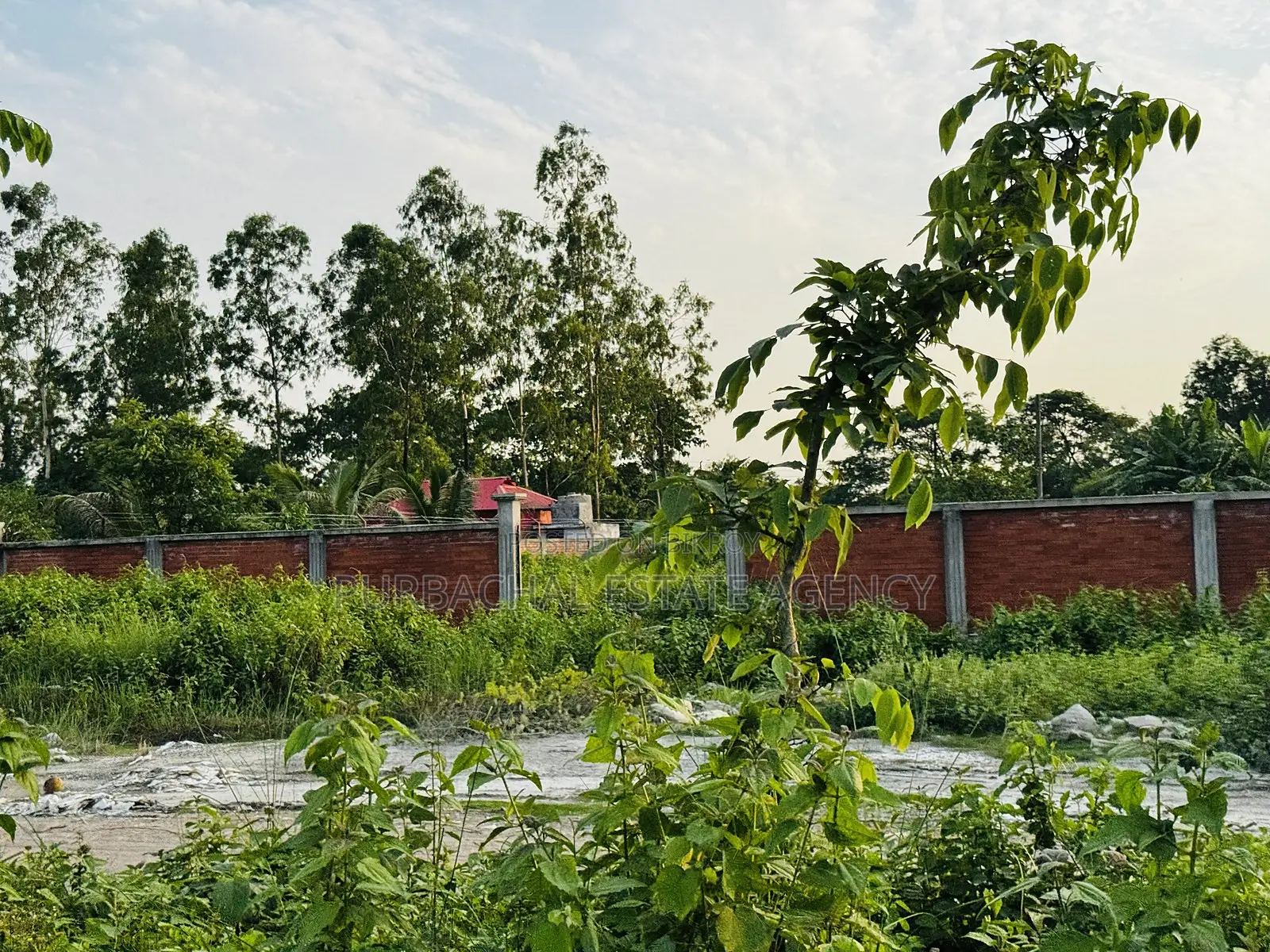 4.93 Katha Corner Plot Near Forest, RAJUK Purbachal Sector 24 in Purbachal