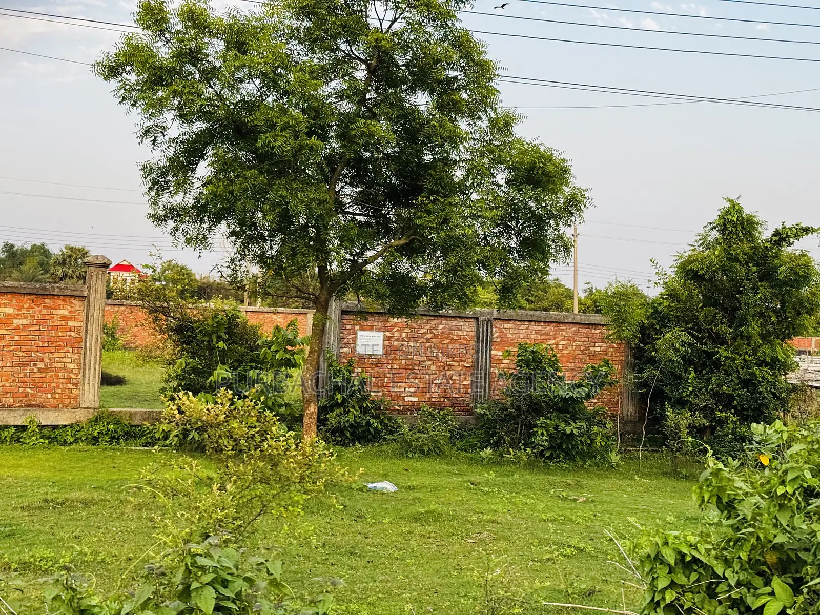4.93 Katha Corner Plot Near Forest, RAJUK Purbachal Sector 24 in Purbachal