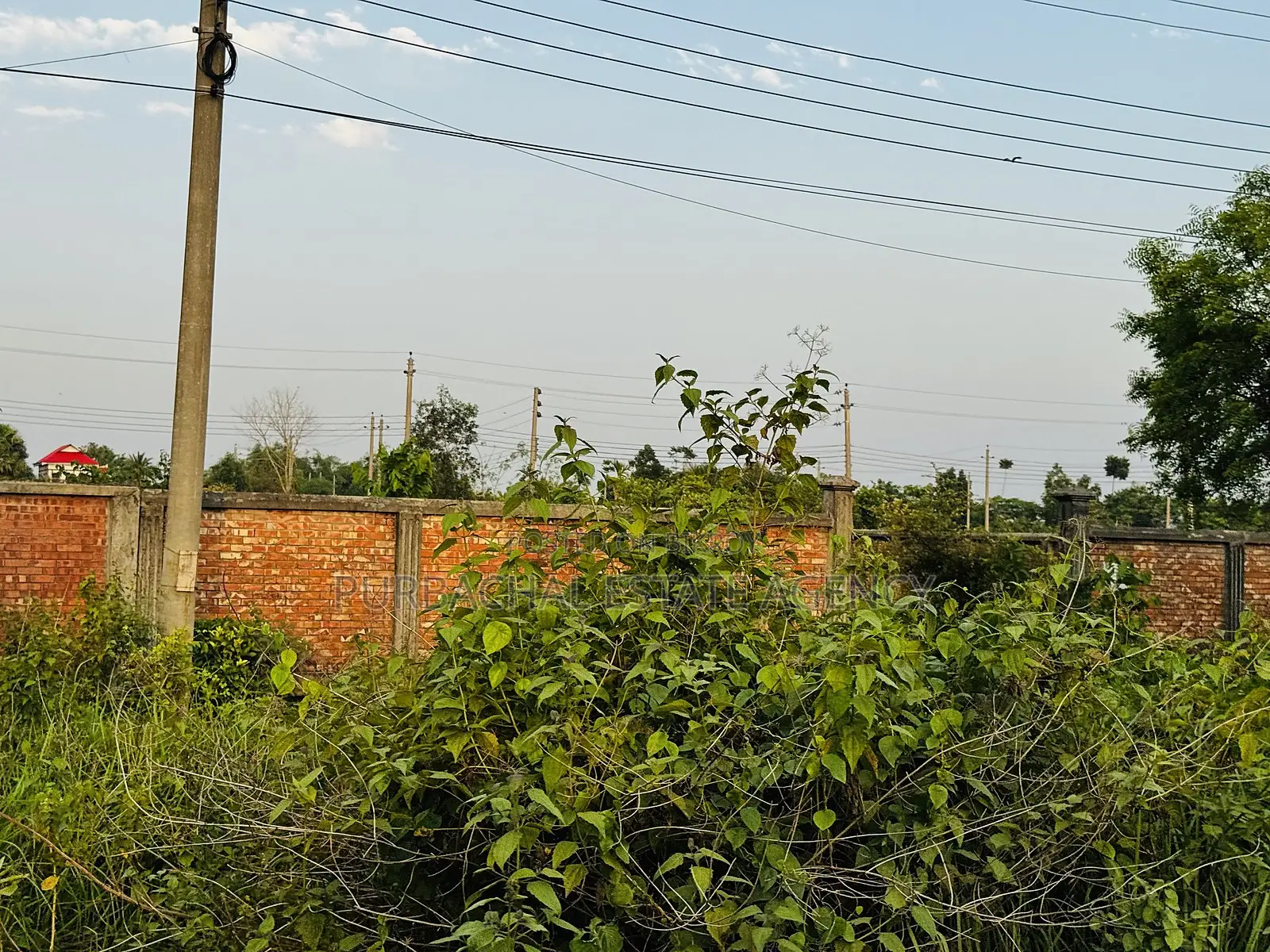 5 Katha Plot Near Playground & 75 Ft Road, Purbachal Sector 20 in Purbachal