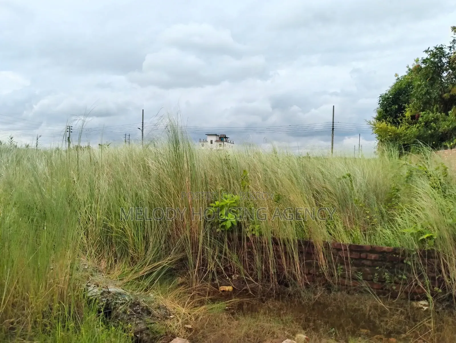 4 Katha Residential Plot for Sale in Purbachal American City in Purbachal