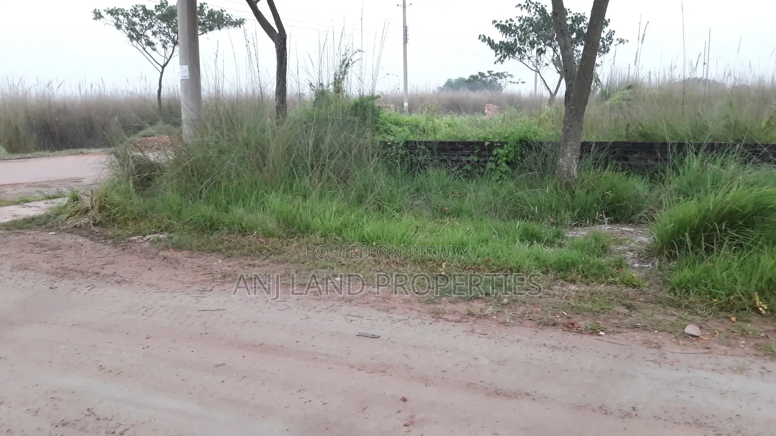 P-Block South Facing 5-Katha Plot for Sale Owner is in the Country in Basundhara