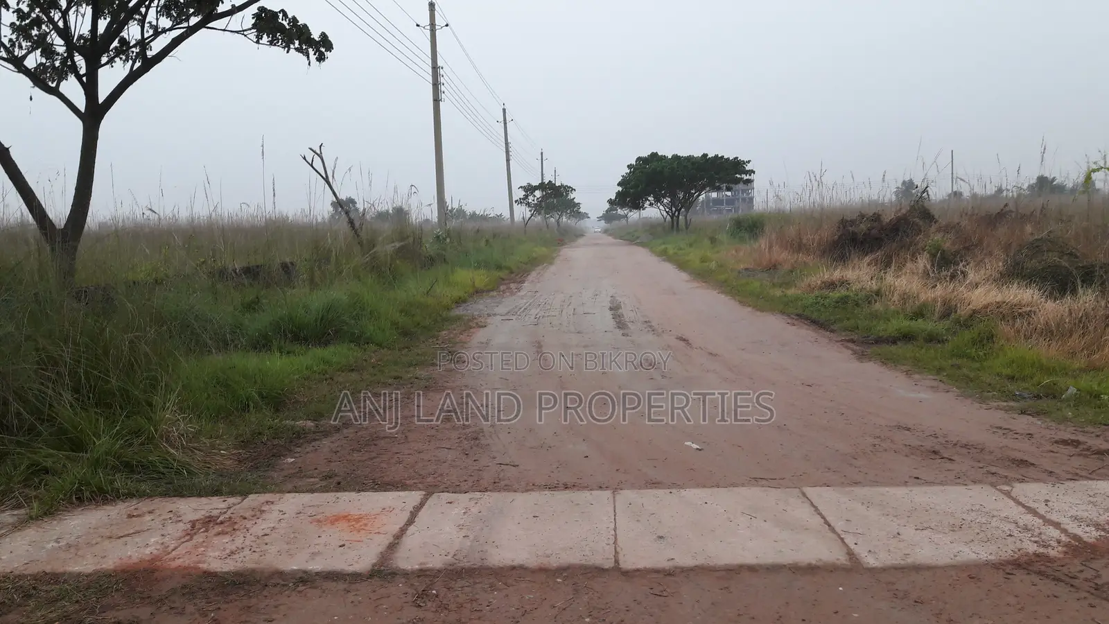 P-Block South Facing 5-Katha Plot for Sale Owner is in the Country in Basundhara