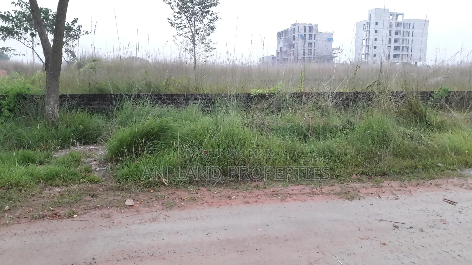 P-Block South Facing 5-Katha Plot for Sale Owner is in the Country in Basundhara