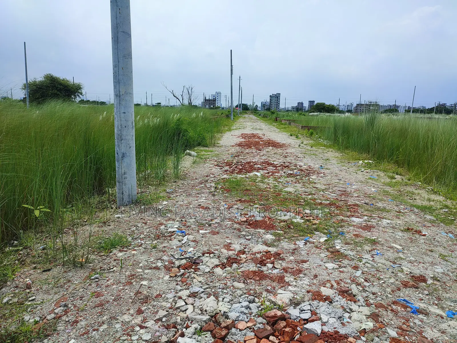 Block P || North Face || 3 Katha Ready Plot Sale in Basundhara