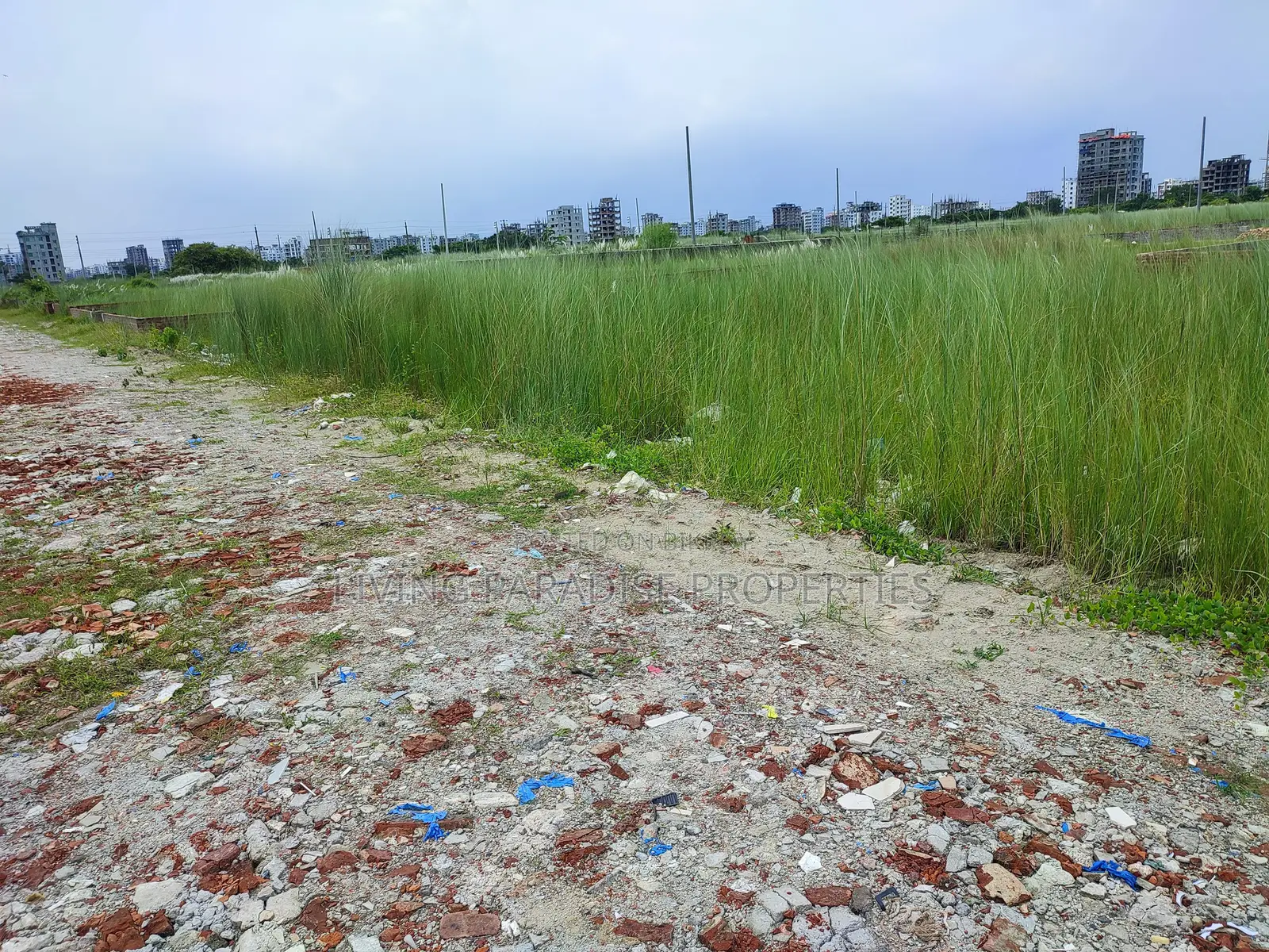 Block P || North Face || 3 Katha Ready Plot Sale in Basundhara