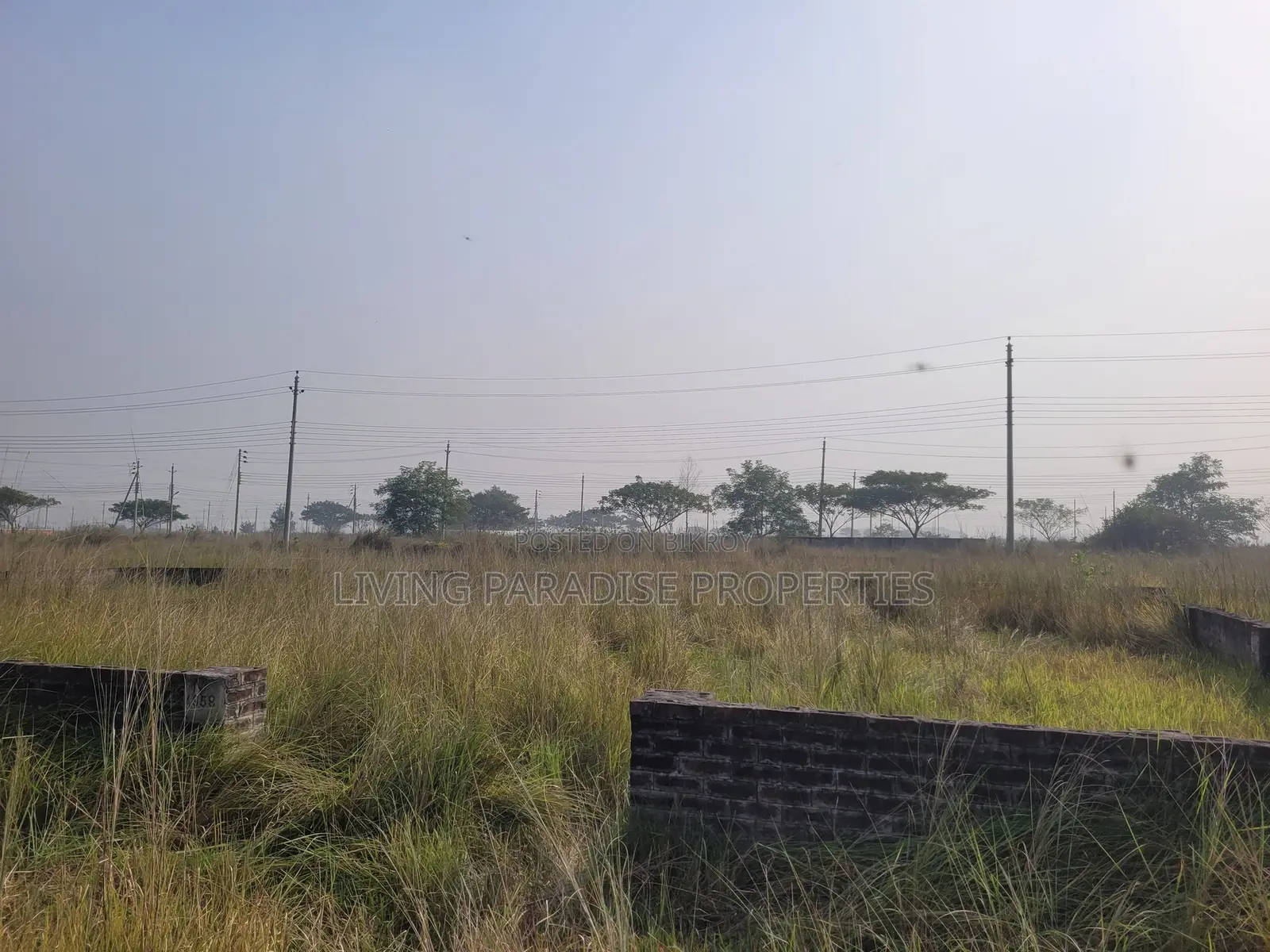 Block P / North Facing / 4 Katha Ready Plot / Bashundhara R/A in Basundhara
