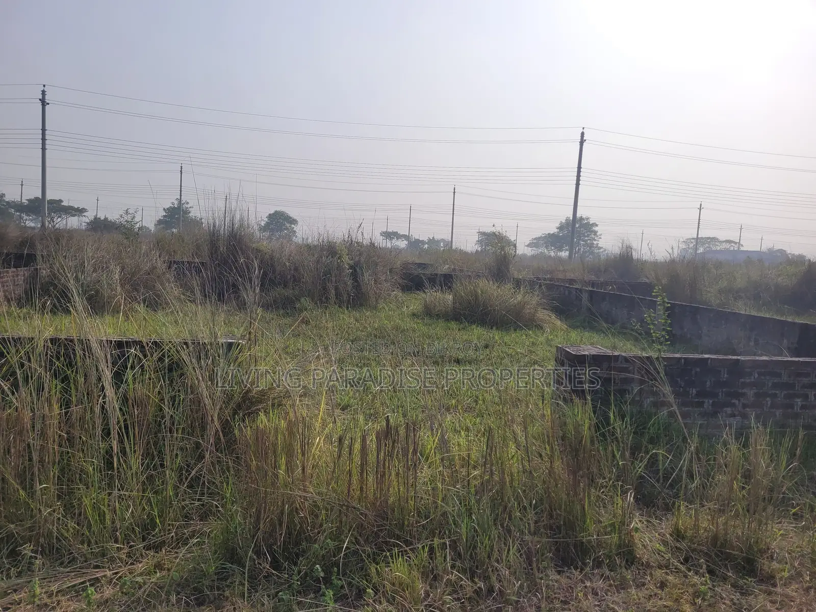 Block P / North Facing / 4 Katha Ready Plot / Bashundhara R/A in Basundhara