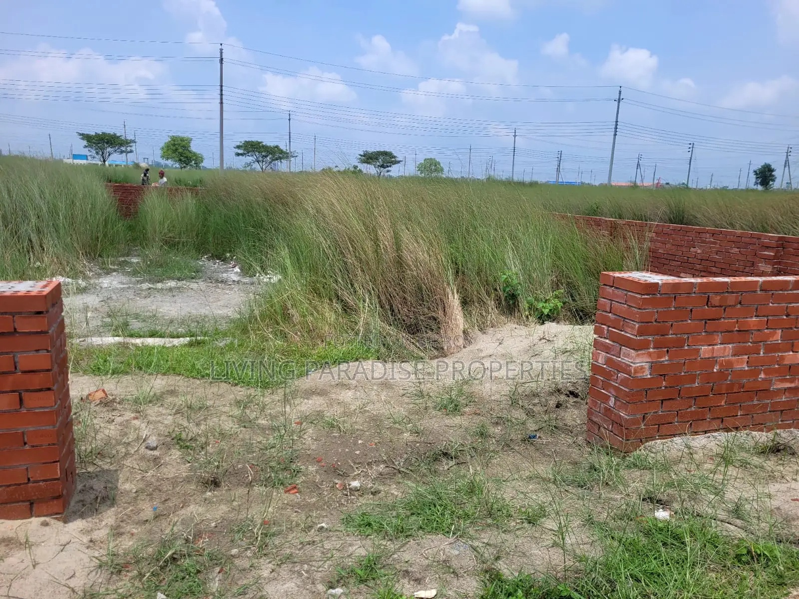 P-Block || North Face || 5 Katha Plot Sale || Bashundhara R/A in Basundhara