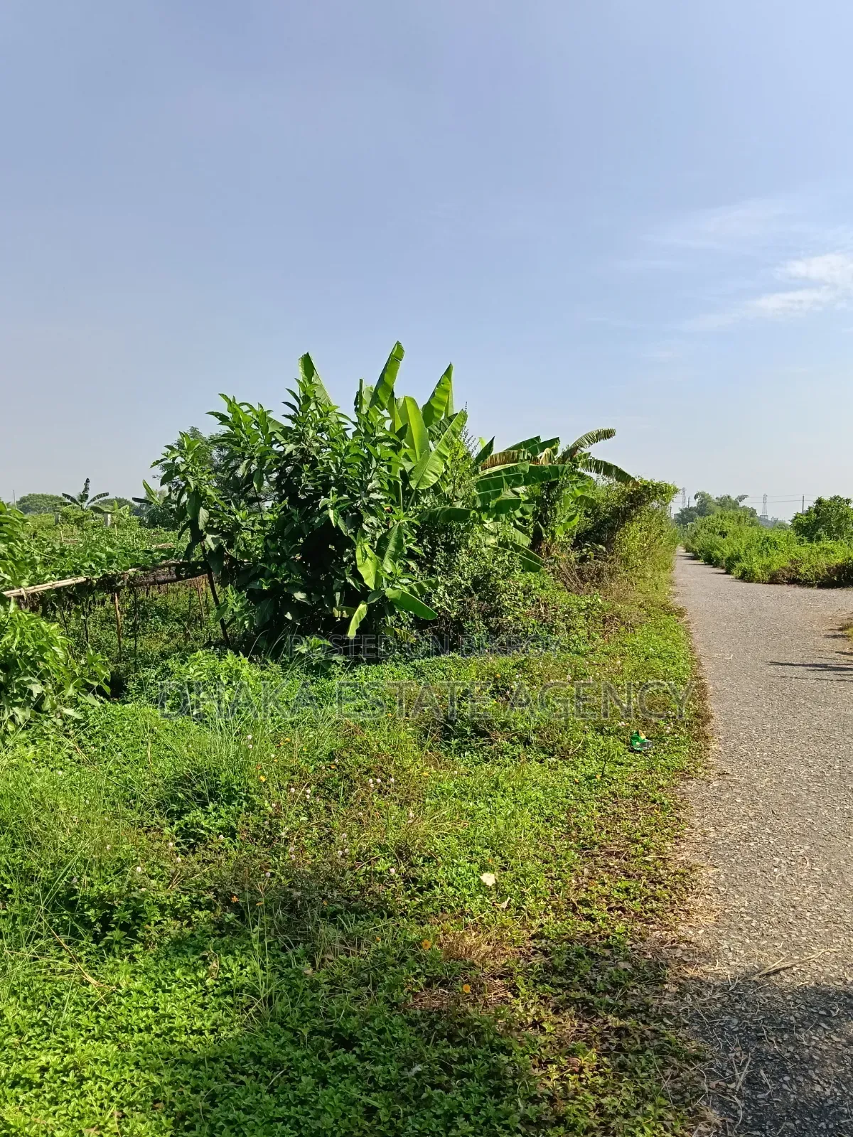 Sector 15, South/East Corner 3 Katha in Purbachal