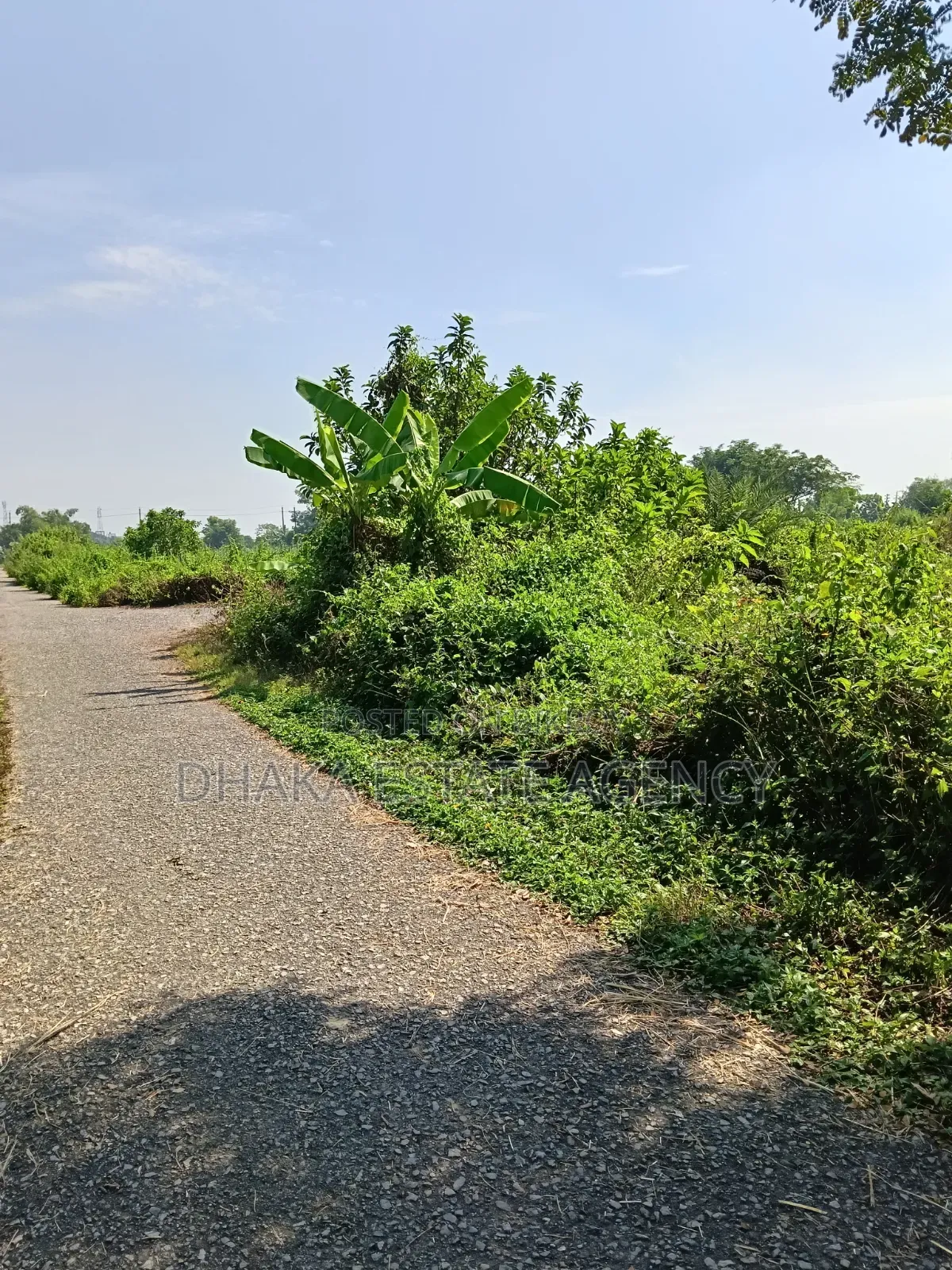 Sector 15, South/East Corner 3 Katha in Purbachal