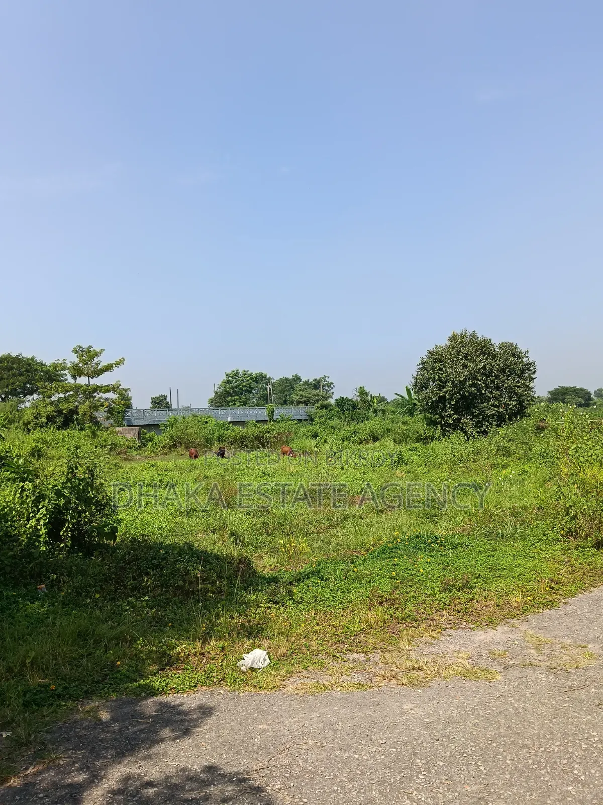 Sector-13, North Face, 3 Katha, Plot Sale in Purbachal
