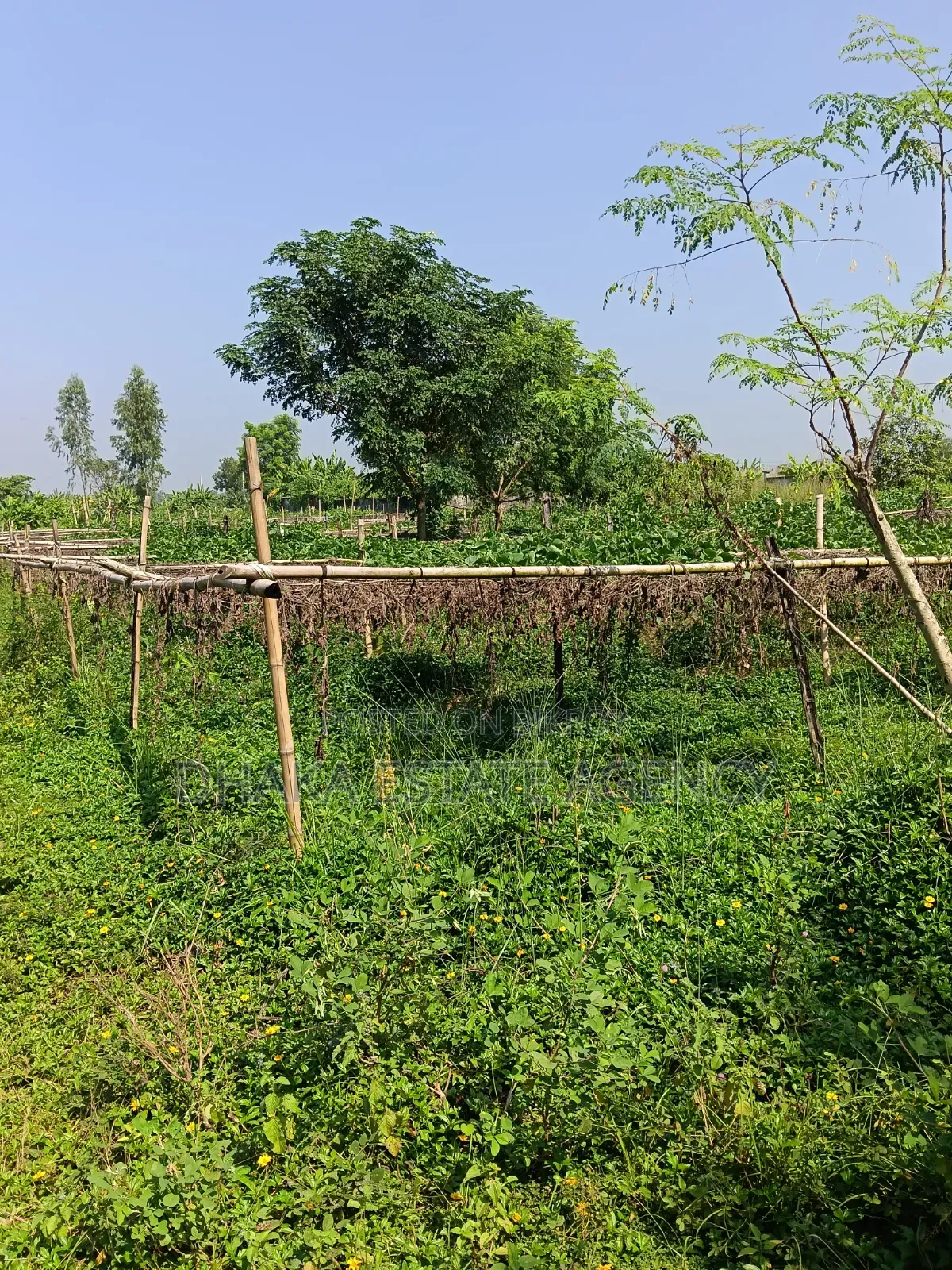Sector-13, North Face, 3 Katha, Plot Sale in Purbachal