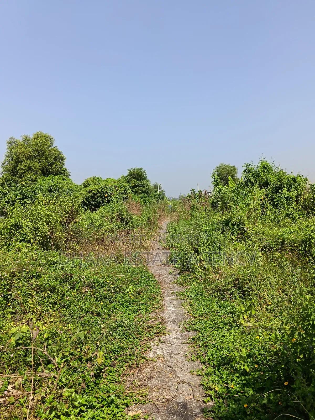 Sector-17, South Facing 5 Katha Plot Sale in Purbachal