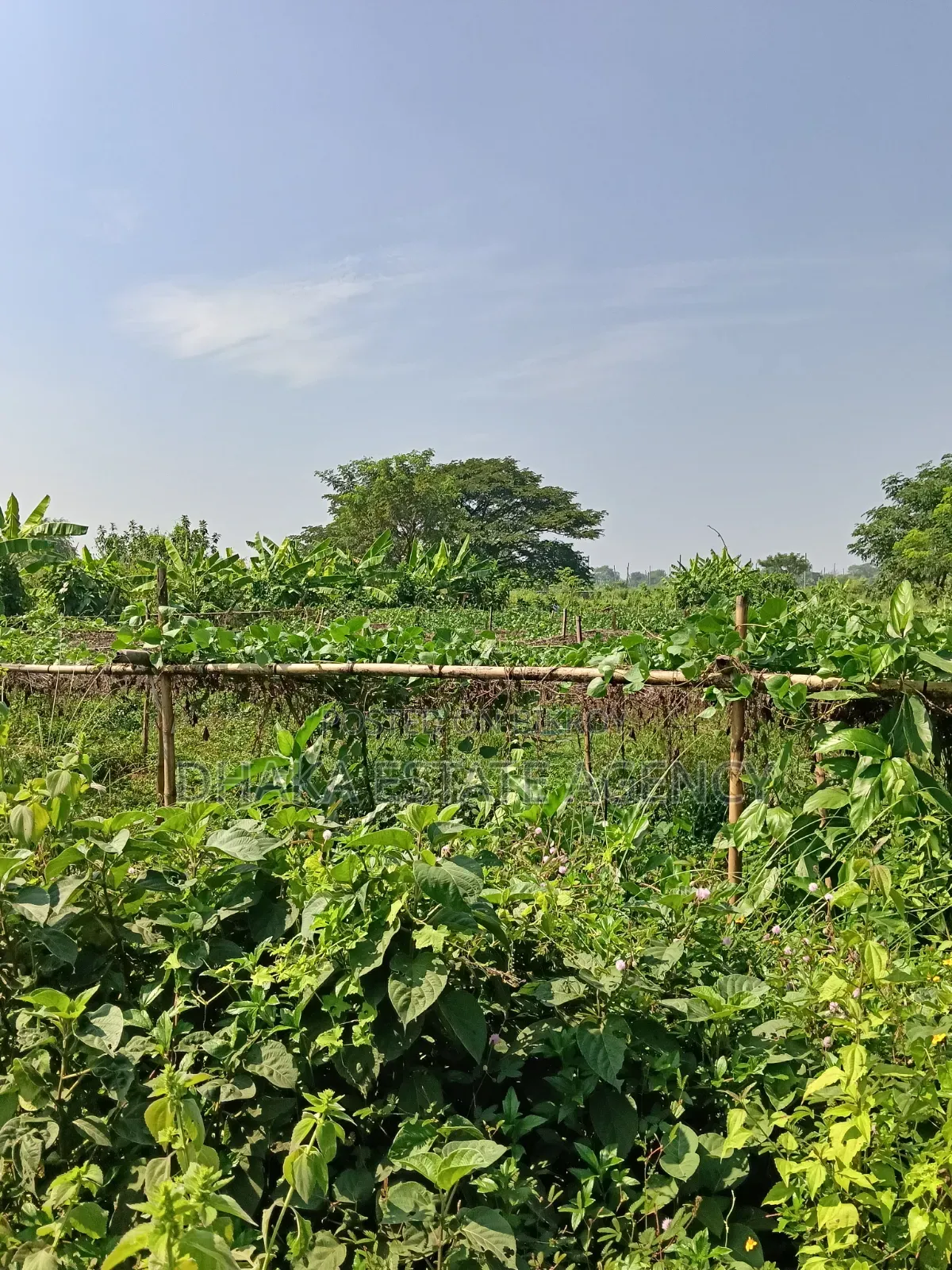 Sector-17, South Facing 5 Katha Plot Sale in Purbachal