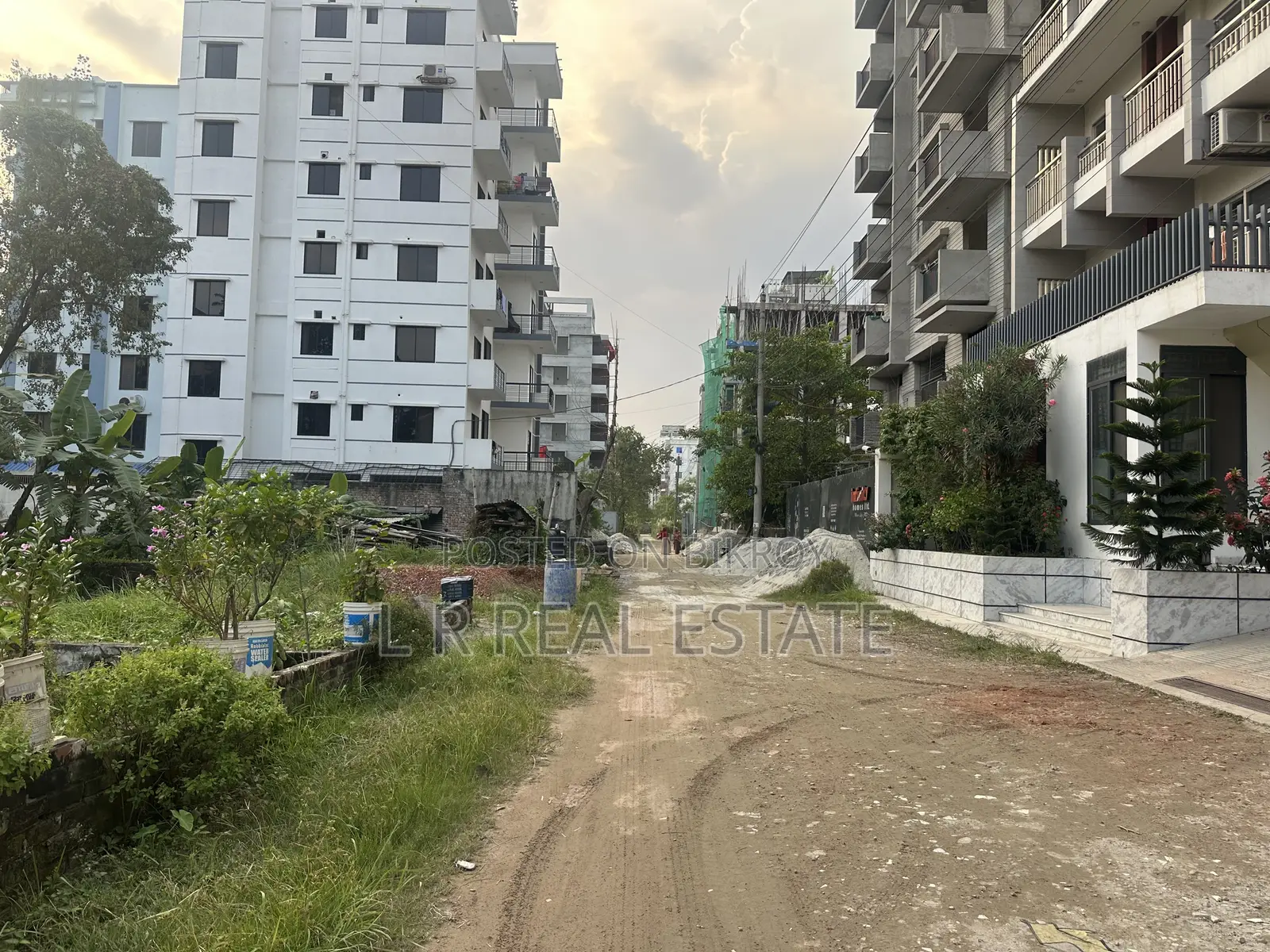 M-Block, 3-Katha, South-Face, Near 300' Road, Bashundhara R/A in Basundhara