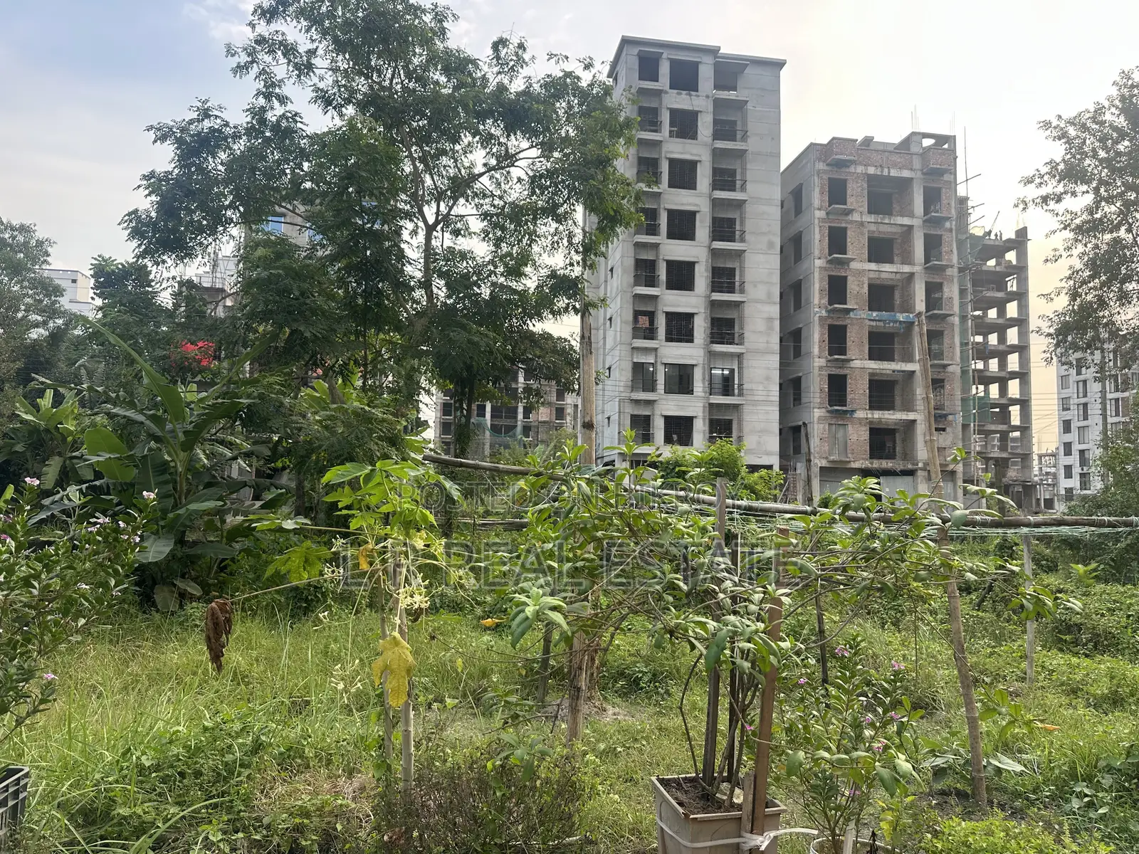 M-Block, 3-Katha, South-Face, Near 300' Road, Bashundhara R/A in Basundhara