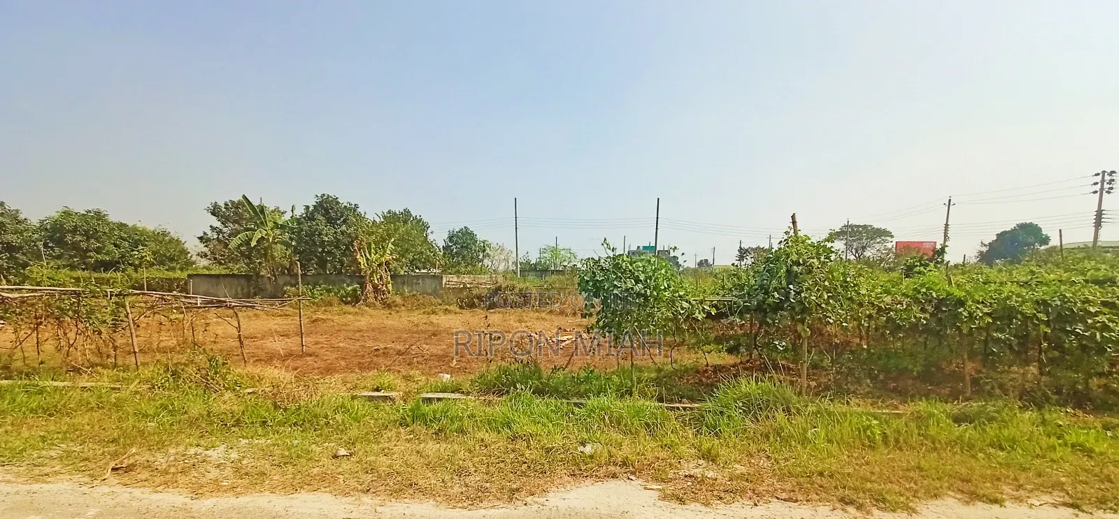 5 Katha Plot for Sale in Sector 11, Prime Location at Purbachal in Purbachal
