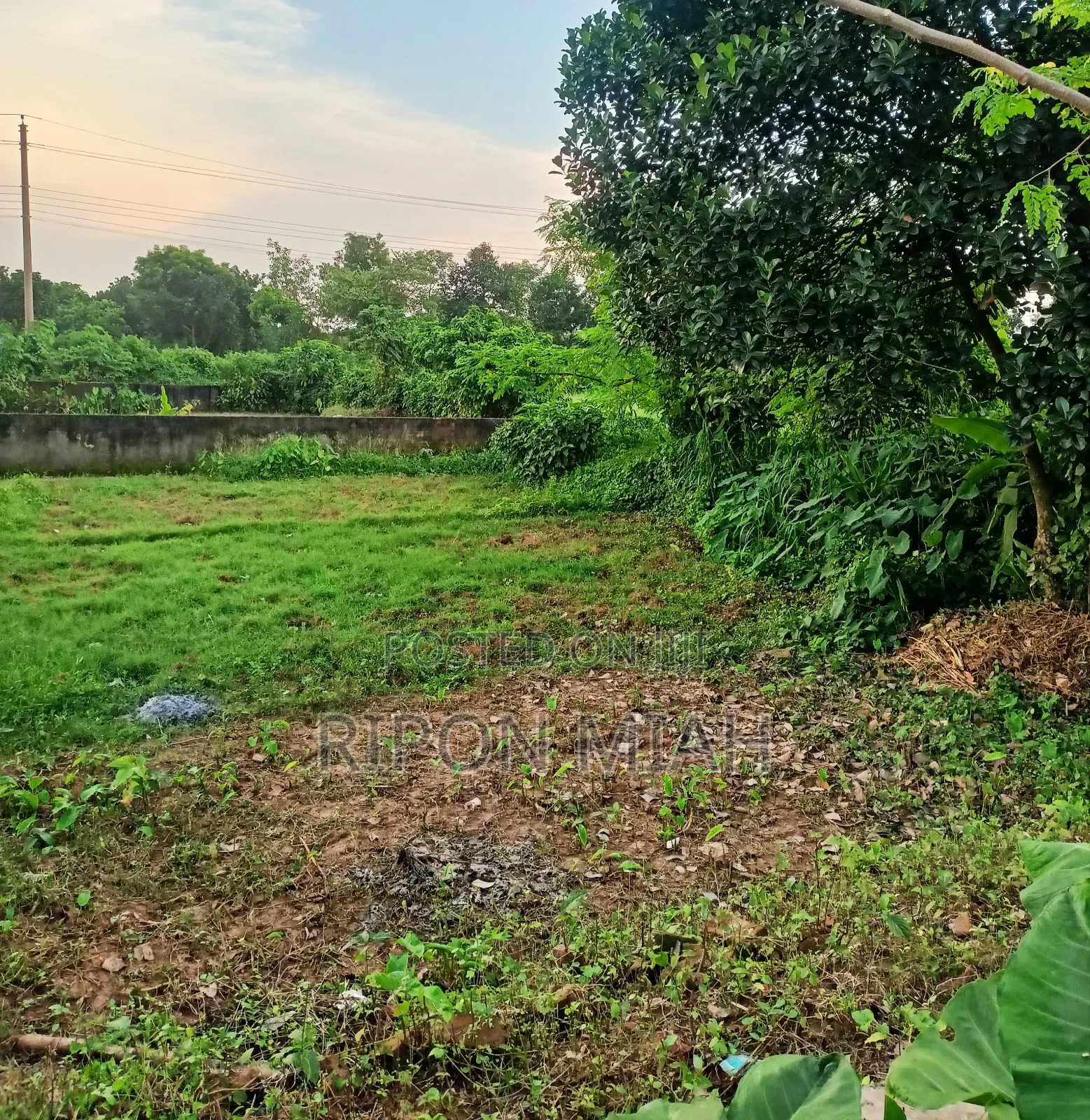 5 Katha Plot for Sale Near the Lake, Adjacent to Jolsiri in Purbachal. in Purbachal