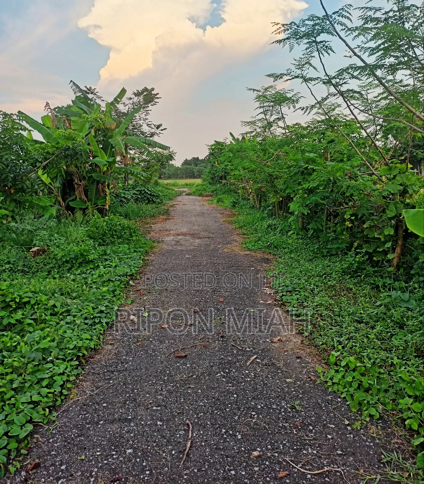 5 Katha Plot for Sale Near the Lake, Adjacent to Jolsiri in Purbachal. in Purbachal