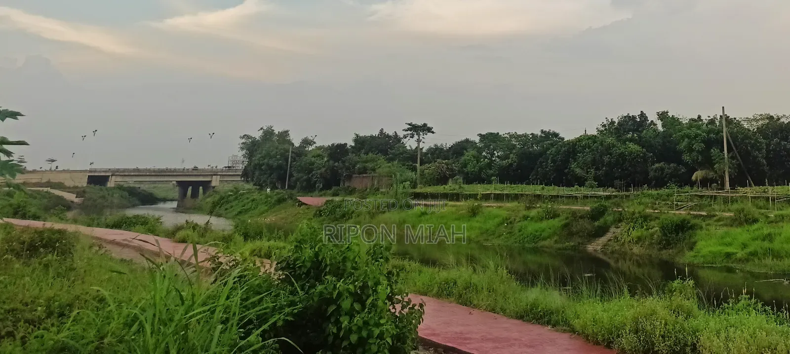 5 Katha Plot for Sale Near the Lake, Adjacent to Jolsiri in Purbachal. in Purbachal