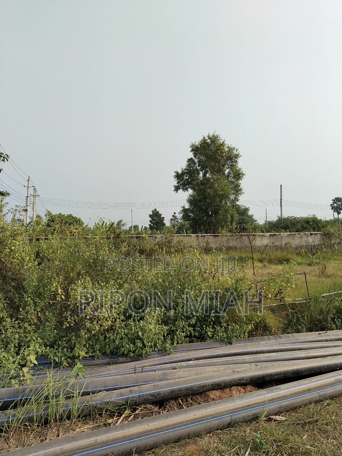 Near 300 Ft 5 Katha Plot Sale Sector 10 at Purbachal in Purbachal