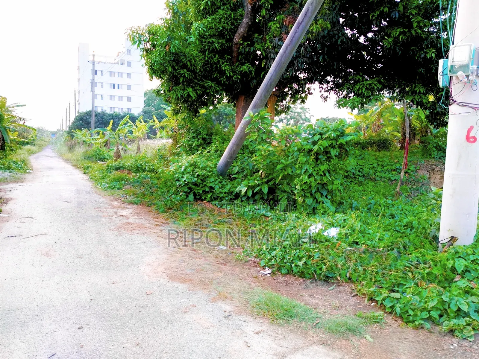 5 Katha South-east Corner Plot Sale Close To 300 Ft At Purbachal in Purbachal