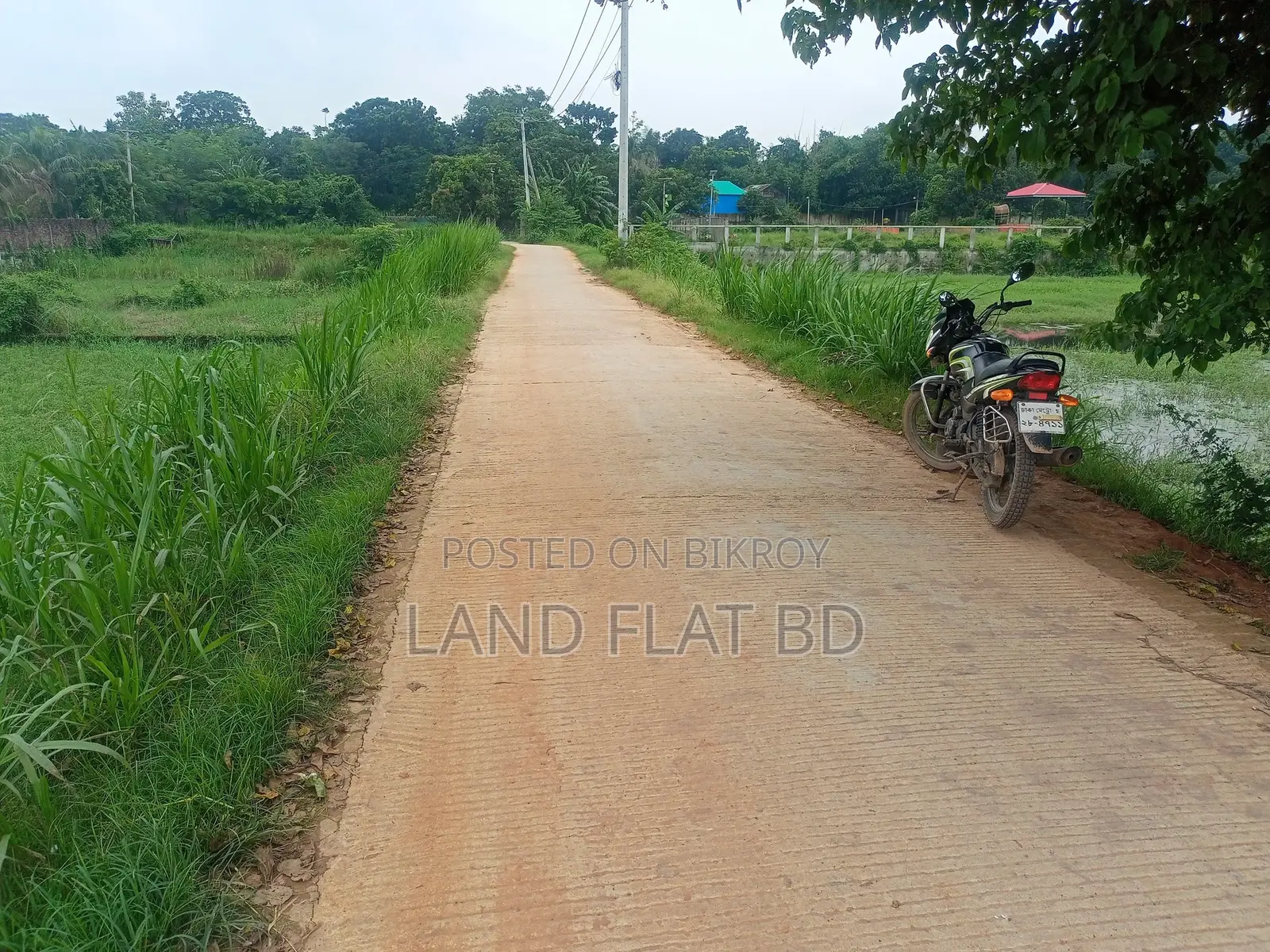 Purchase 15 Katha of Land with Cash or a Five-Year Installment Plan in Savar