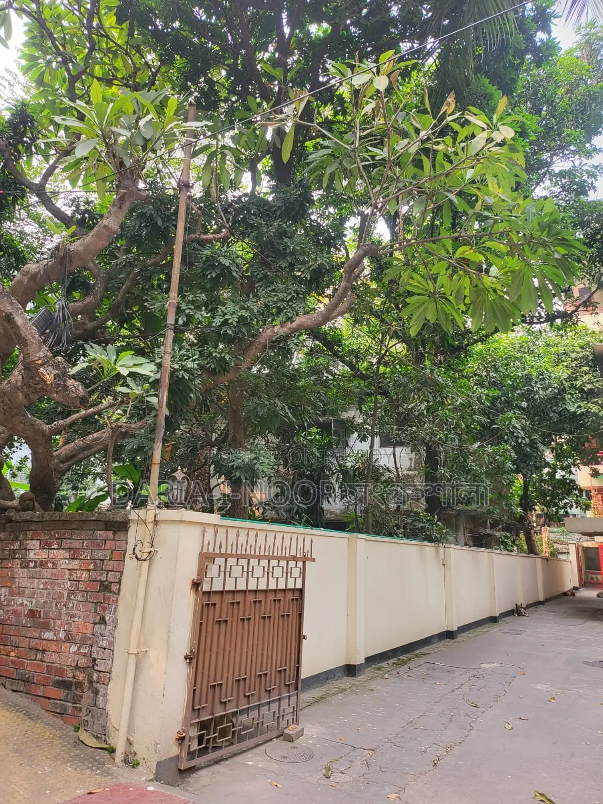 20 Katha South-Facing Land for Sale Near Dhanmondi Lake in Dhanmondi