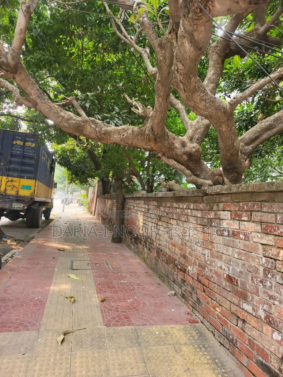 20 Katha South-Facing Land for Sale Near Dhanmondi Lake in Dhanmondi