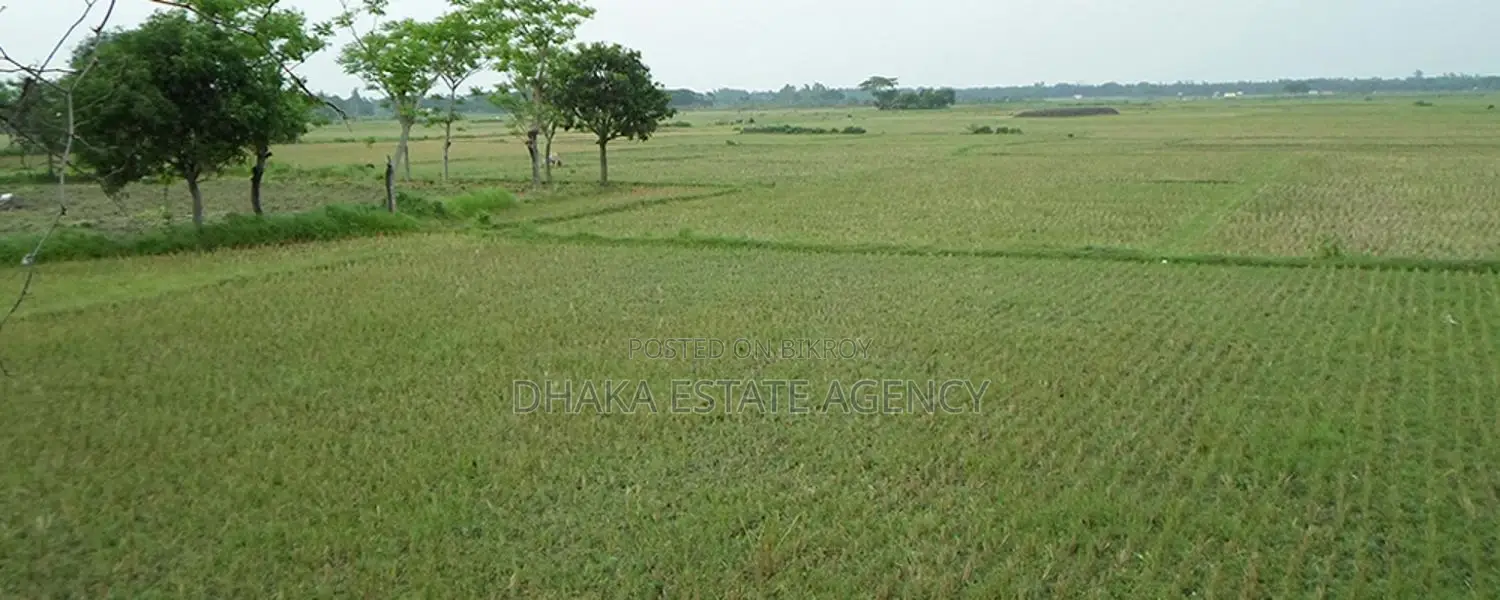 5 Katha Sector #7 in Purbachal
