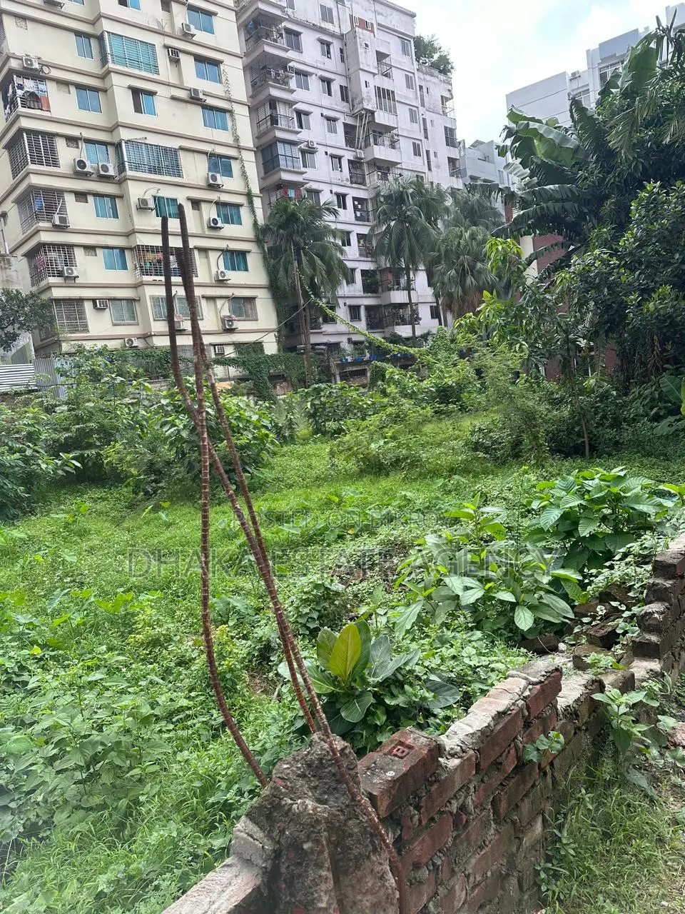 Main Dhanmondi 10 Katha Land Sale in Dhanmondi