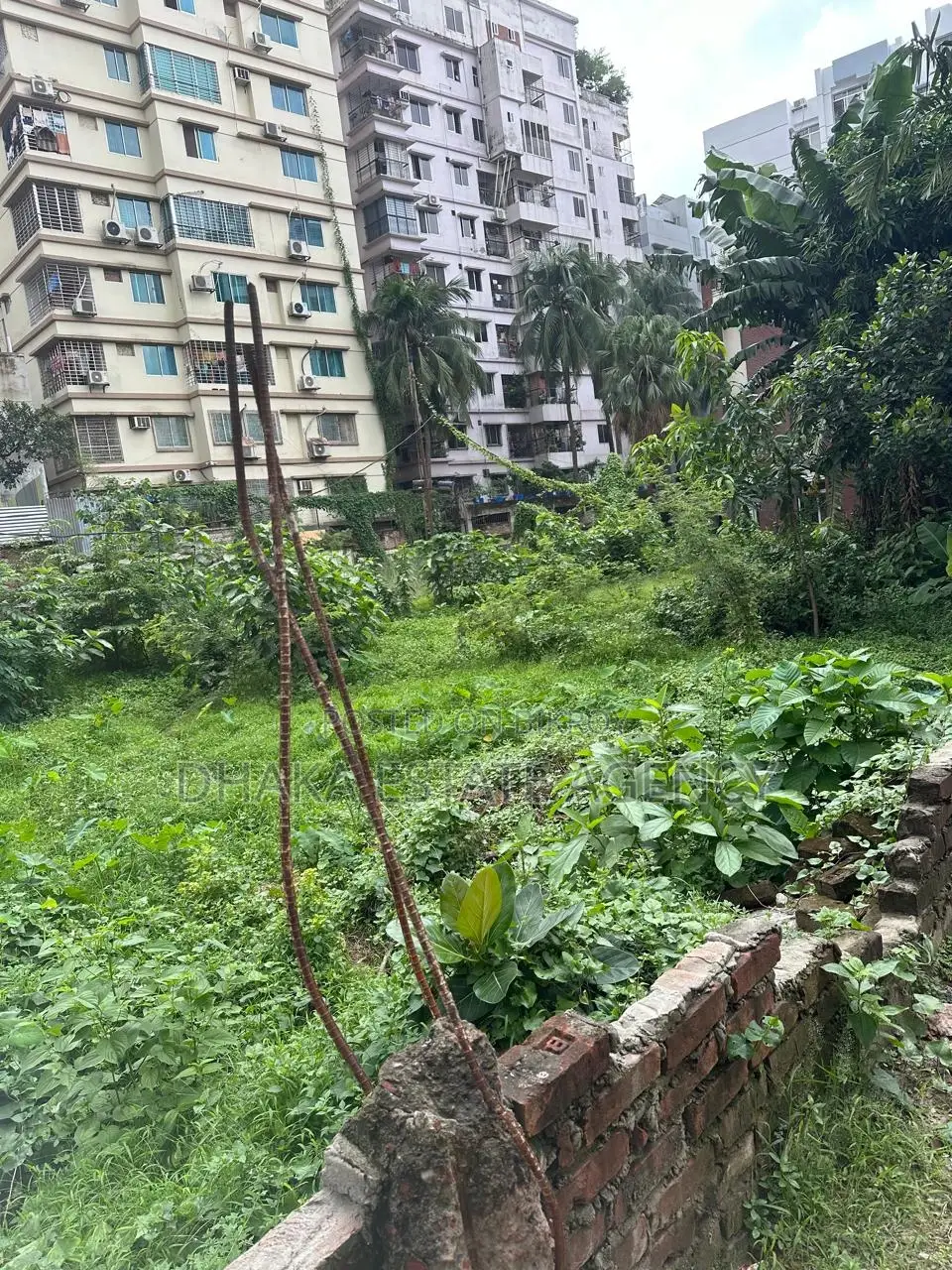 Main Dhanmondi 10 Katha Land Sale in Dhanmondi