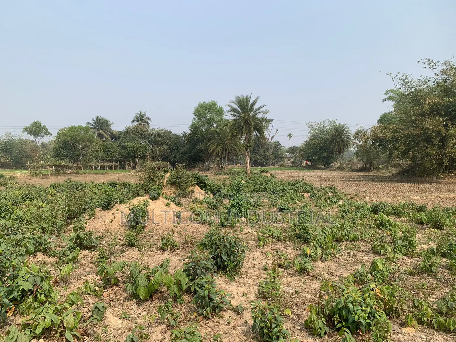 86,000 sqft land for rent, total – 210 decimals, 6 Bigah in Gazipur