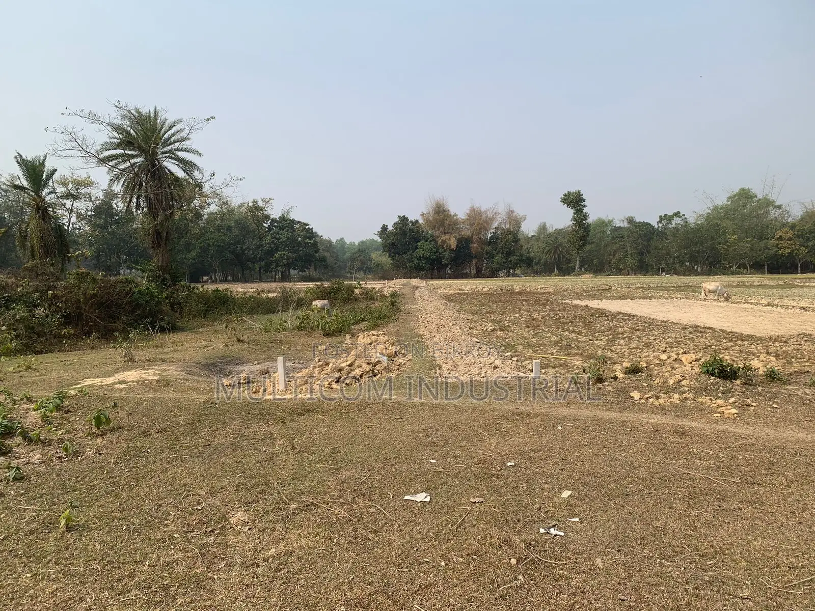 86,000 sqft land for rent, total – 210 decimals, 6 Bigah in Gazipur